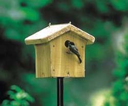 Wild Birds Unlimited   Bird Houses   Guelph  ON