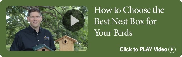 How to Choose the Right Nesting Box