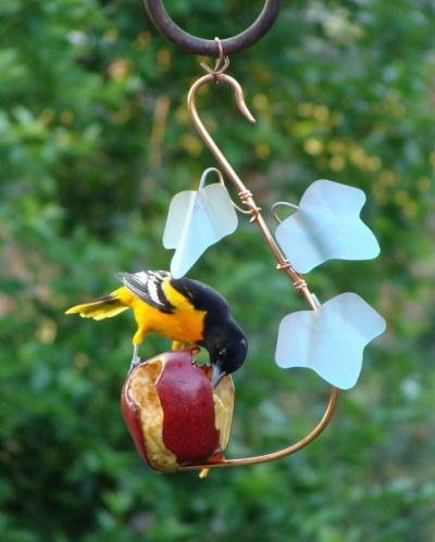 Wild Birds Unlimited on Wild Birds Unlimited   Specialty Feeders   Guelph  On