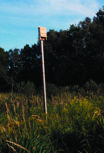 WBU Bat House on pole