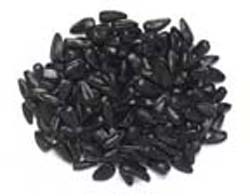 Black Oil Sunflower