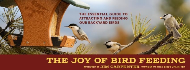 The Joy of Bird Feeding