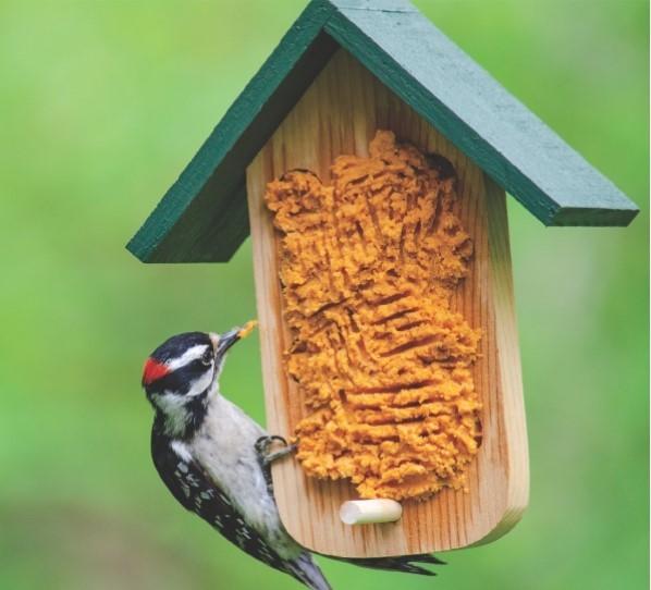 Bark Butter Feeder