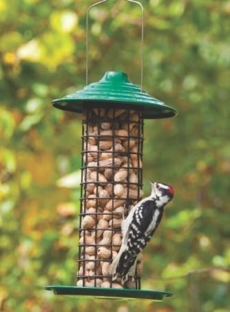 squirrel proof peanut feeder