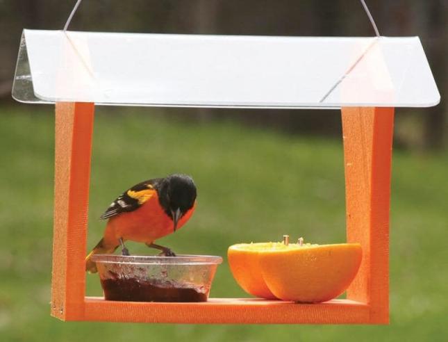 Recycled Oriole Feeder