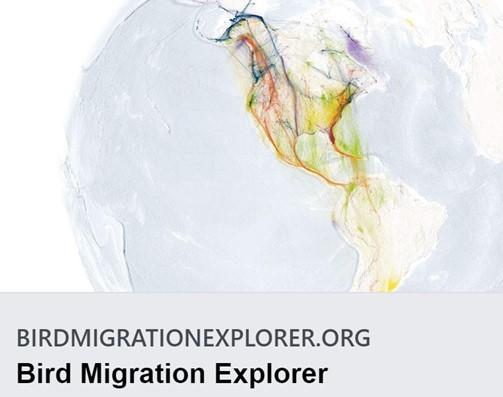 Migration Explorer