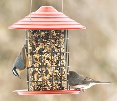 Red Tidy Cylinder Feeder