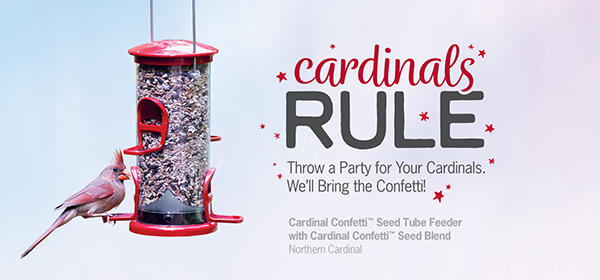 Cardinal Confetti