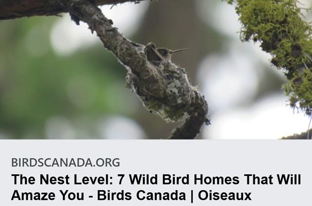 Nests