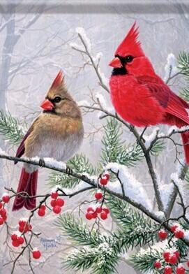 Cardinals Pine Berries