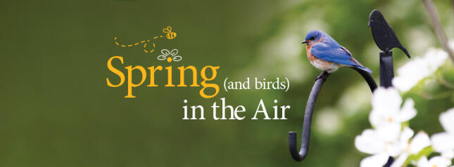 Spring is in the Air
