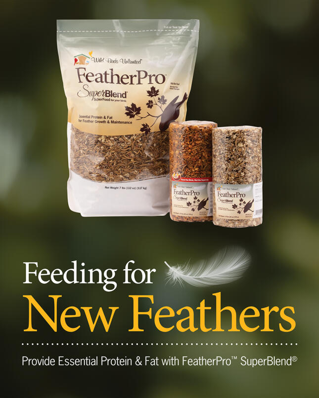 FeatherPro
