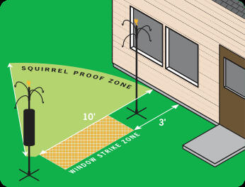 Squirrel Proof Location